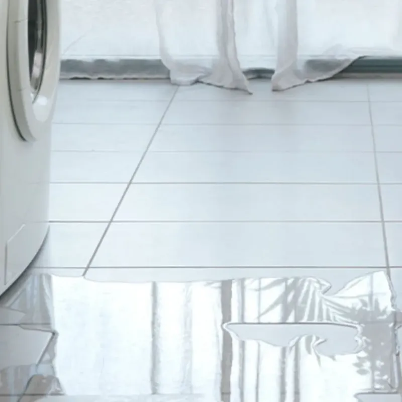 Appliance Leak Cleanup in Sheffield, AL