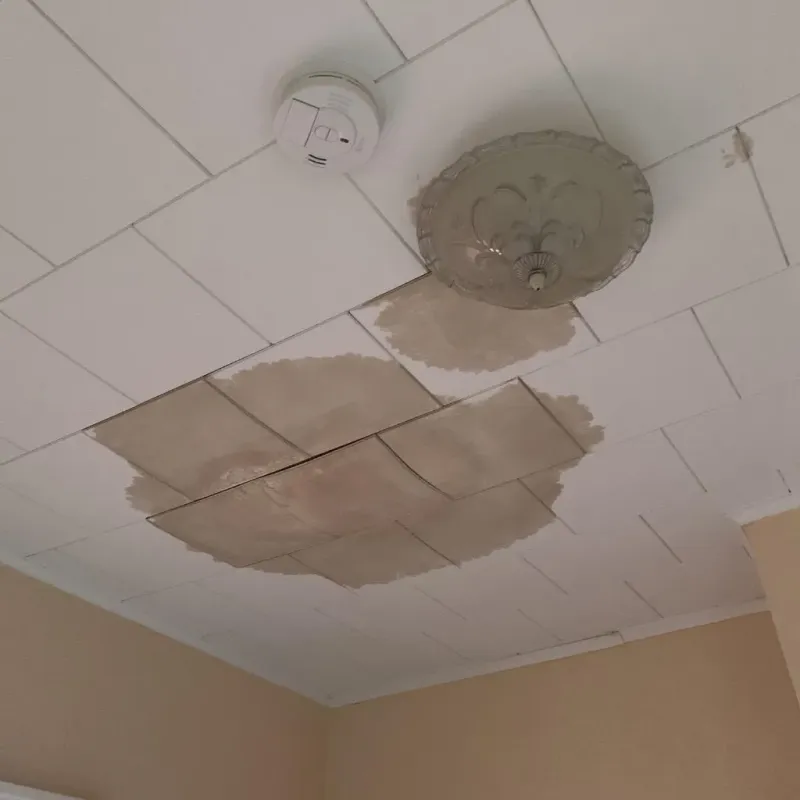 Ceiling Water Damage Repair in Sheffield, AL