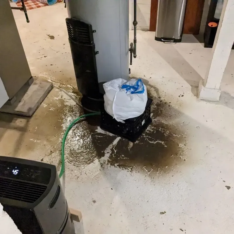 Sewage Backup Cleanup Service in Sheffield, AL